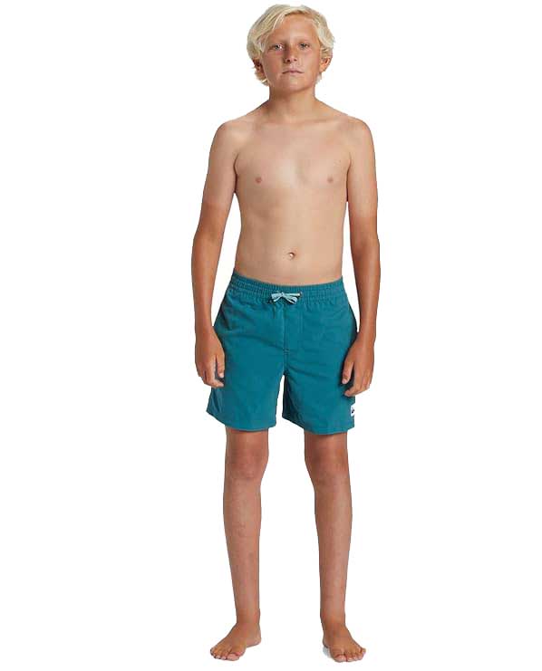 Bañador Quiksilver Everyday Vert 14″ Junior