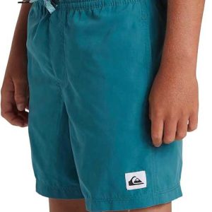 Bañador Quiksilver Everyday Deluxe 15″