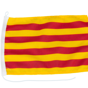 Bandera de catalunya 30 x 20 cm