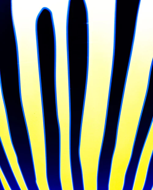 Tabla Surf Zeus x Cabianca Sherpa 6’8» - Imagen 4