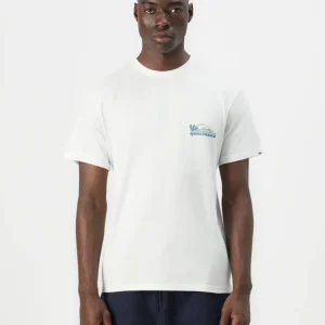 Camiseta Quiksilver Every Day Paradise