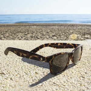 Gafas de sol Boardriders carey