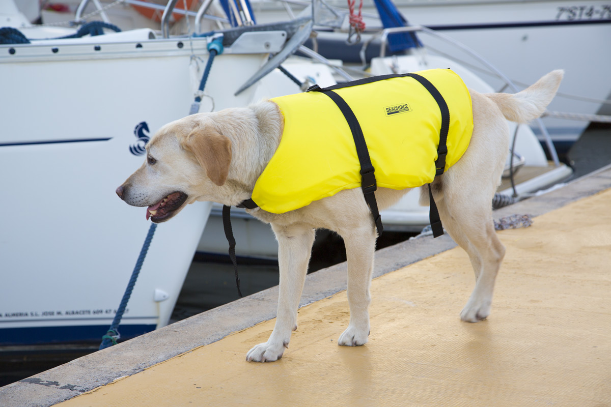 Chaleco salvavidas perro - Imagen 5