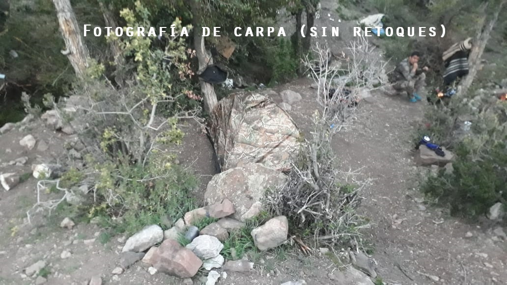 Carpa camuflaje hojas 3D - Imagen 5