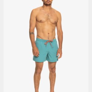Bañador Quiksilver Everyday Vert 15″