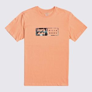 Camiseta Billabong Inversed